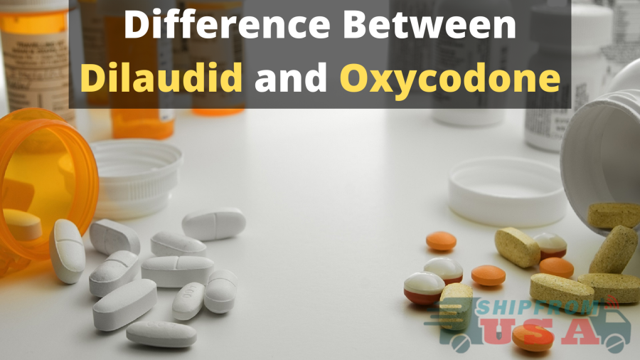 Difference Between Dilaudid and Oxycodone