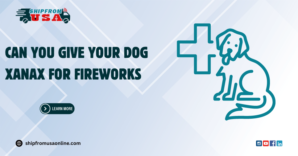 Can you give your Dog Xanax for Fireworks